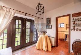 4 bedroom villa in the middle of nature 4 bedroom villa in the middle of nature