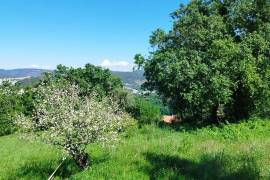 Land for construction of House, Coimbra