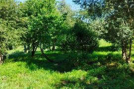 Land for construction of House, Coimbra