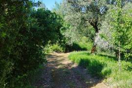 Land for construction of House, Coimbra