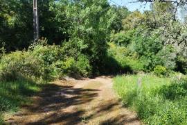 Land for construction of House, Coimbra