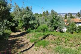 Land for construction of House, Coimbra