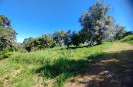 Land for construction of House, Coimbra