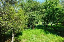 Land for construction of House, Coimbra