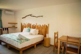 Drift Away Lodge: Near the Coast Hotel/Resort/Hostel For Sale in Playa Avellanas