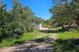 ISLAND OF KRK, CITY OF KRK - Ground floor in an olive grove 500m from the sea