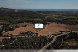 Centennial stone farmhouse with 75 hectares, vineyards and historic houses to rehabilitate in San Pere de Ribes - Sitges (Barcelona)