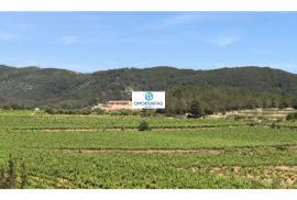 Centennial stone farmhouse with 75 hectares, vineyards and historic houses to rehabilitate in San Pere de Ribes - Sitges (Barcelona)
