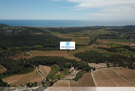 Centennial stone farmhouse with 75 hectares, vineyards and historic houses to rehabilitate in San Pere de Ribes - Sitges (Barcelona)