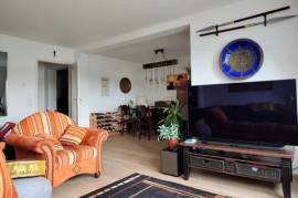 Spacious, charming apartment in Dresden