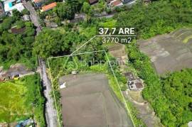 Own Your Slice of Bali Bliss: Serene Leasehold Land in Tumbak Bayuh with Endless Possibilities!