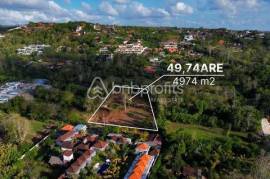 Prime Leasehold Land in Bukit – Bingin: Perfect Opportunity for Development in Bali’s Trending Area!