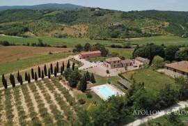 Chianti vineyards, cellar and farm, Monteriggioni - Tuscany