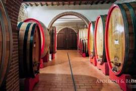 The Nobil Donna vineyards and resort, Montepulciano - Tuscany
