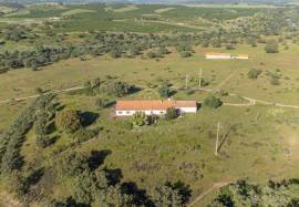 Alentejo estate located between 2 rivers, with 237 hectares located in the parish of Mora, Évora.
