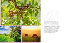 Excellent Plot of land for sale in Sardinia Italy Excellent Plot of land for sale in Sardinia Italy