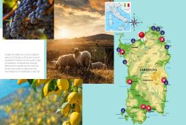 Excellent Plot of land for sale in Sardinia Italy Excellent Plot of land for sale in Sardinia Italy