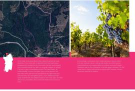 Excellent Plot of land for sale in Sardinia Italy Excellent Plot of land for sale in Sardinia Italy