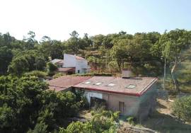 Farm with approved project for Agrotourism includes the construction of 5 single storey houses ( 2 V2 + 3 V1 ) plus the typical Algarvian stone house existing on site!