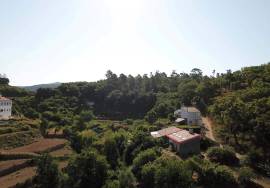 Farm with approved project for Agrotourism includes the construction of 5 single storey houses ( 2 V2 + 3 V1 ) plus the typical Algarvian stone house existing on site!