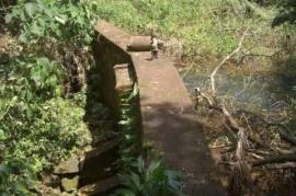 Farm for sale a property of 171 has - 13127