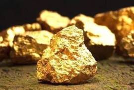 Yacimiento de diamantes y oro en venta - EfG-1115931