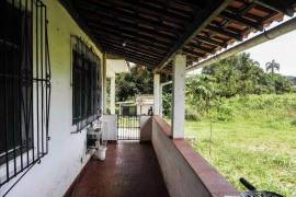 Azienda 17 ettari di palmito - BRA12Pupunia