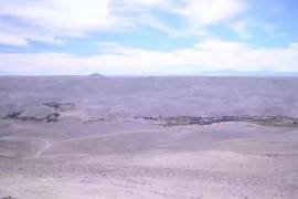 Une oasis dans le désert d'Atacama - bravo-001