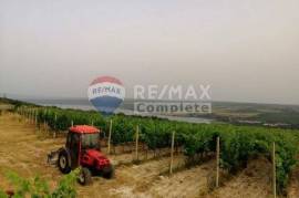 POSEDARJE - Agricultural property - INVESTMENT