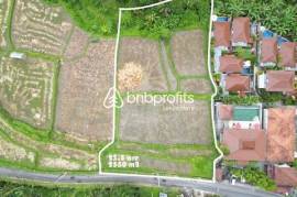 Exclusive Opportunity: Prime Investment Land in Ubud – Tegallalang, Bali
