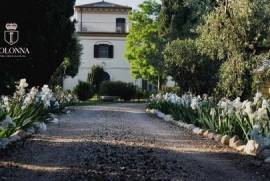 Italian countryhouse in the olive grove