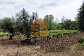 Rustic land with vineyard, forest and olive grove for sale in Castelos