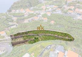 Land with 4000m2 Land with 4000m2