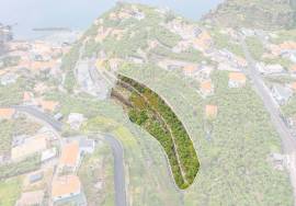 Land with 4000m2 Land with 4000m2