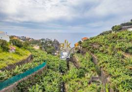 Land with 4000m2 Land with 4000m2