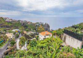 Land with 4000m2 Land with 4000m2