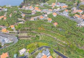 Land with 4000m2 Land with 4000m2