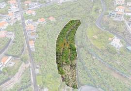 Land with 4000m2 Land with 4000m2