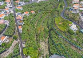Land with 4000m2 Land with 4000m2