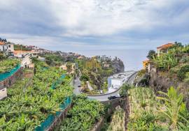 Land with 4000m2 Land with 4000m2