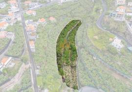Land with 4000m2 Land with 4000m2