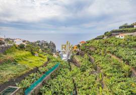 Land with 4000m2 Land with 4000m2