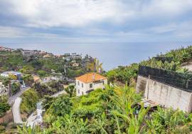 Land with 4000m2 Land with 4000m2