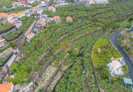 Land with 4000m2 Land with 4000m2
