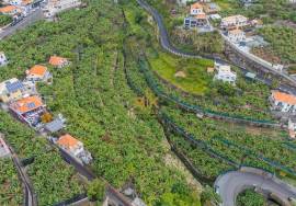 Land with 4000m2 Land with 4000m2