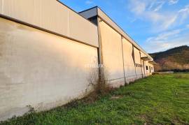 Warehouse with + 1600m2 in Seia