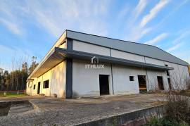 Warehouse with + 1600m2 in Seia