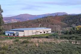 Warehouse with + 1600m2 in Seia