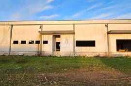 Warehouse with + 1600m2 in Seia