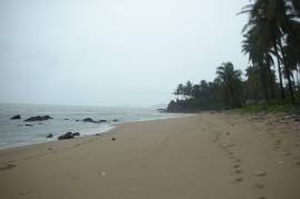 Excellent Plot of land for sale in Krabi